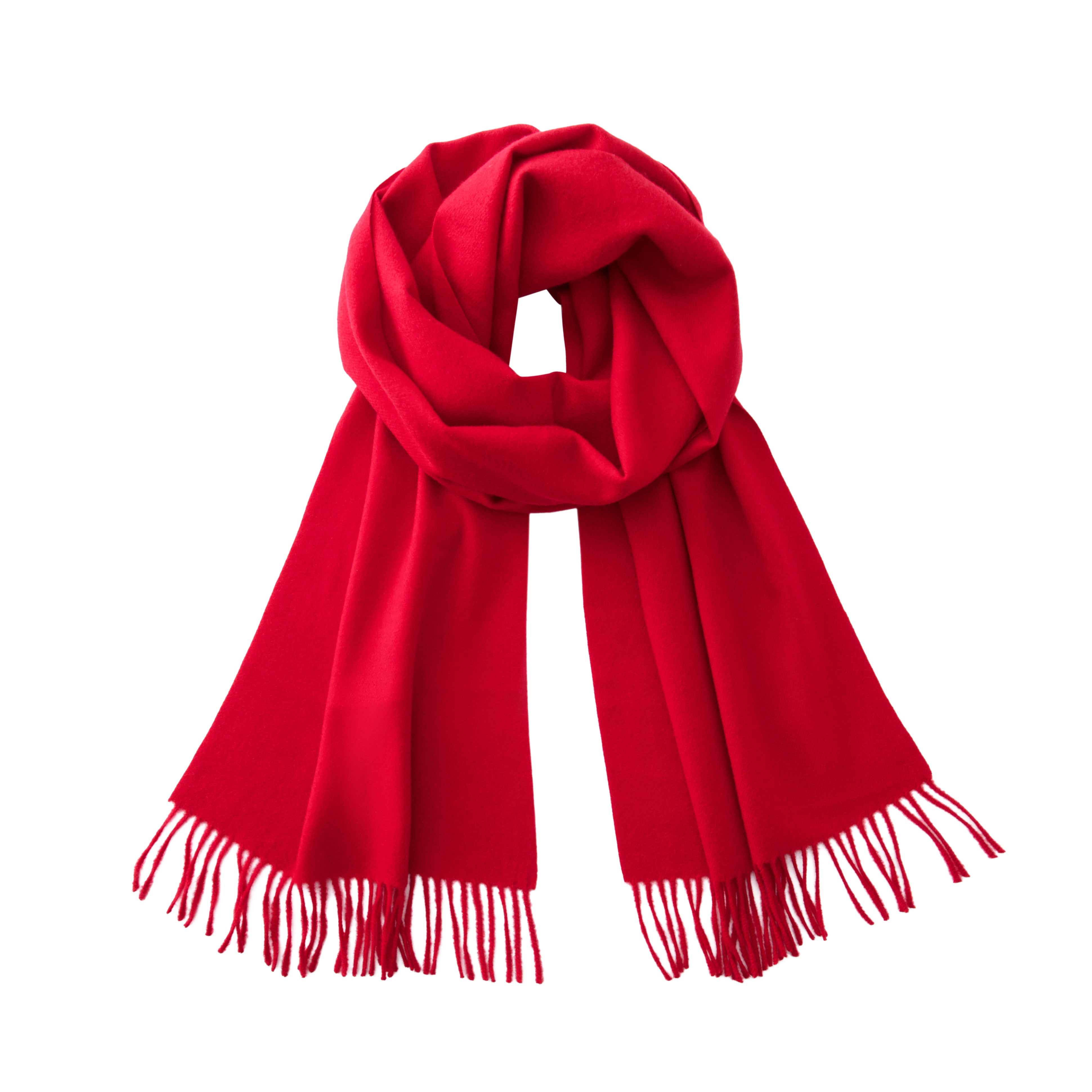 CALVIN & OLIVIA | Solid scarf
